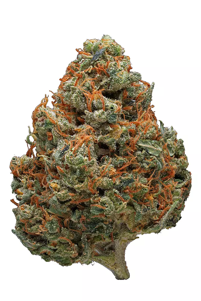 Buy Durban Poison in Texas