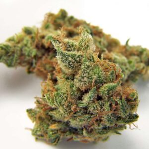 Buy Northern Lights Online texas