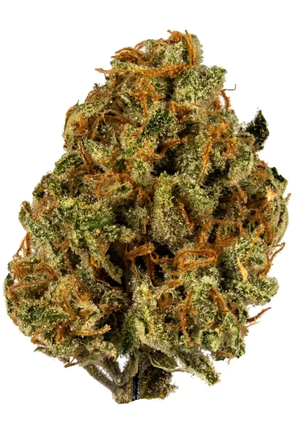 Buy Super Lemon Haze Online Texas